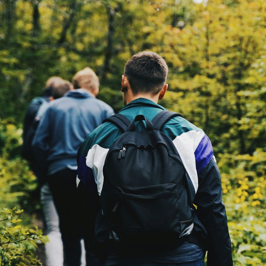 Some young people walking through a forest.